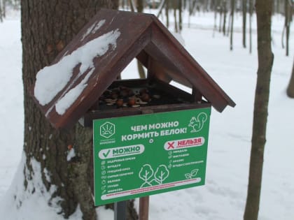 Кормушки для белок установили в поселении Воскресенское