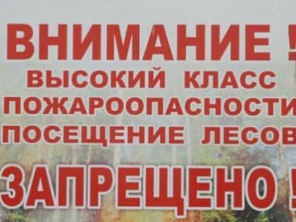 Жителей Котельников предупреждают о высокой пожарной опасности в лесах