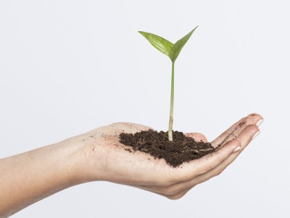 Эксперт спрогнозировал рост «зеленых инвестиций» в России