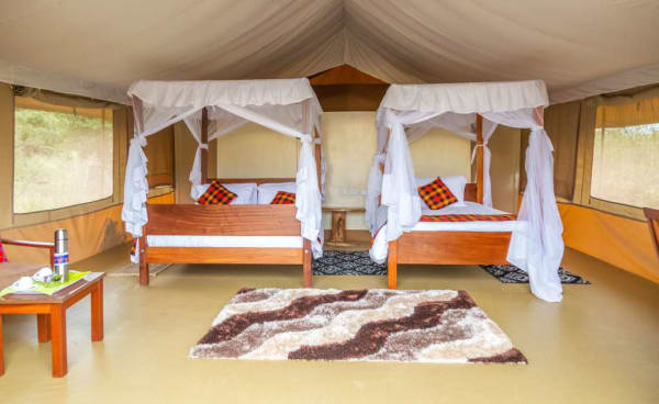 enkorok Mara   safari