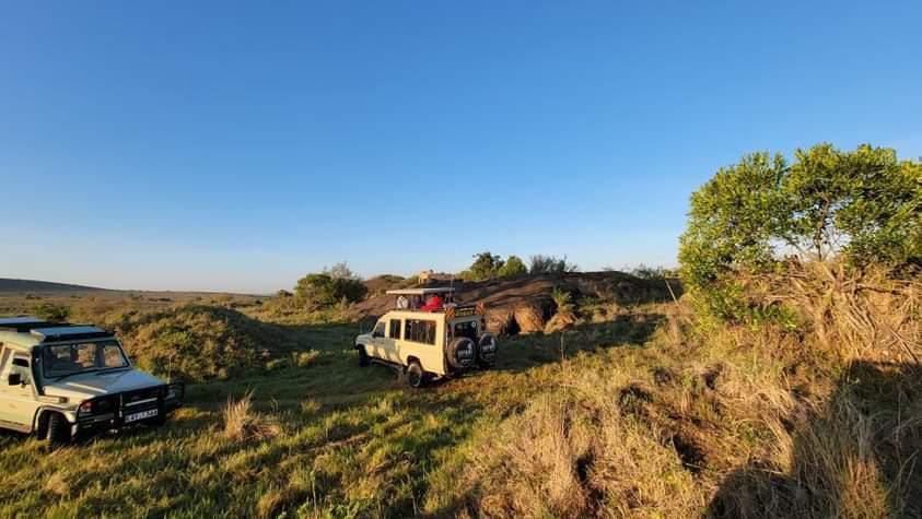 Game Drives 5