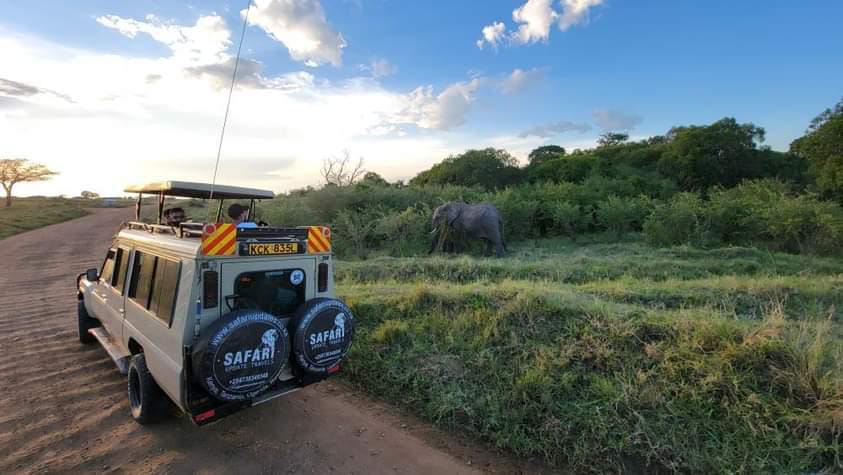 Game drives