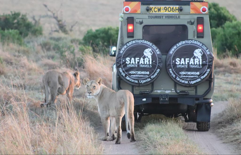 Masai Mara 2