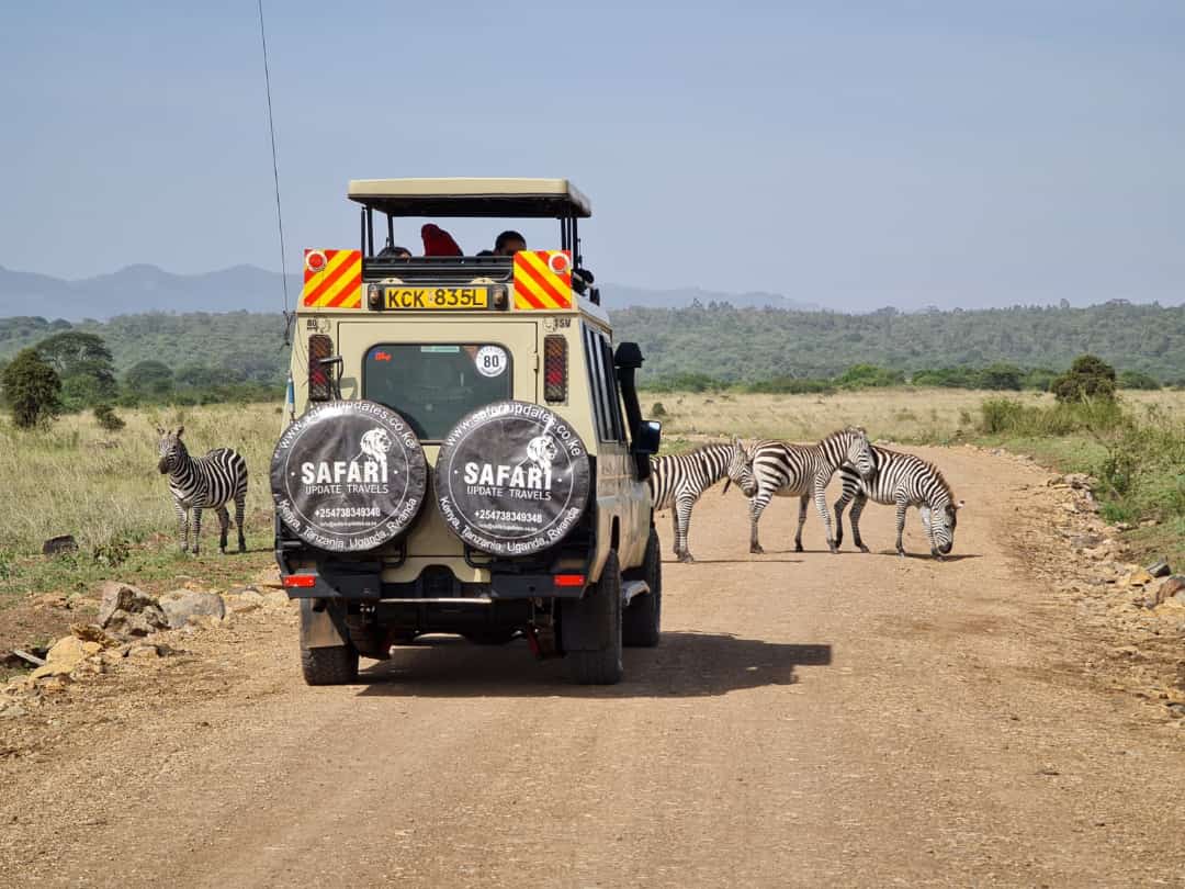 safar Update Travels1233