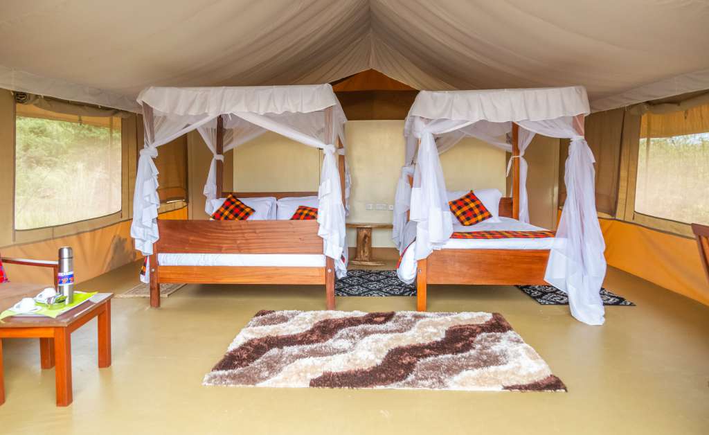 enkorok Mara   safari