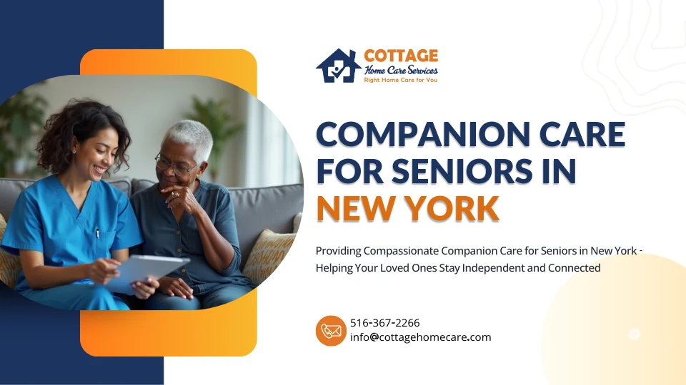 Companion Care for Seniors in New York | Expert Support