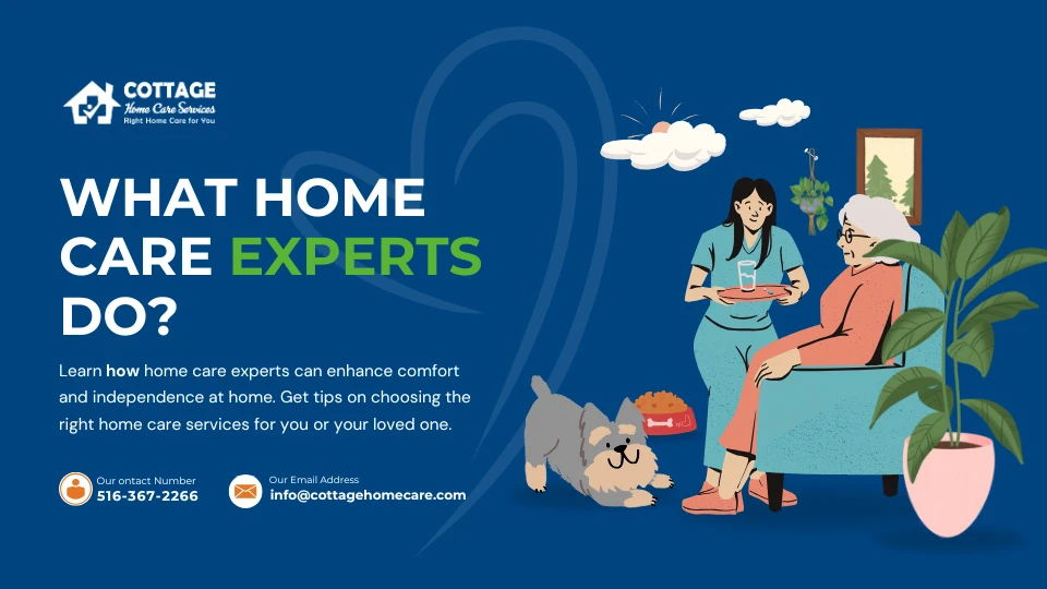 Discover What Home Care Experts Can Do for You