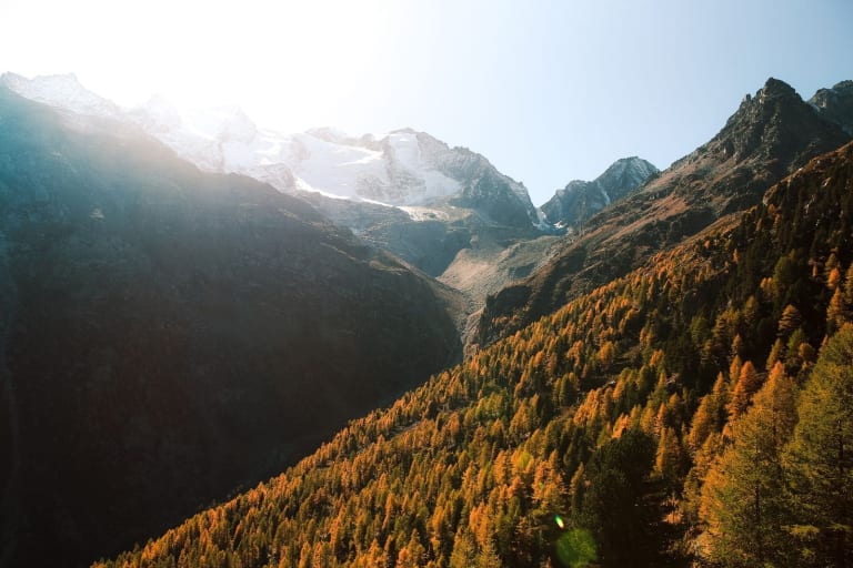Aerial view of a snow-capped mountain range and forest in sunlight