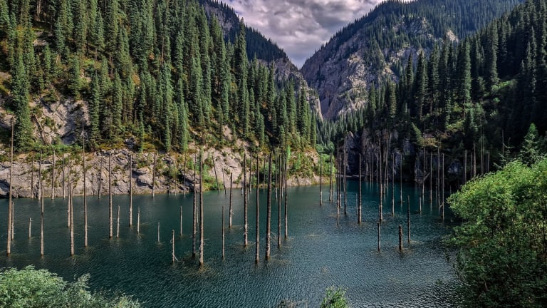 Bare spruce trunks rising from Lake Kaindy, Kazakhstan