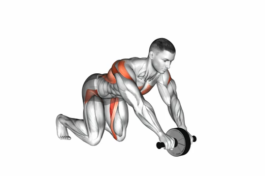 Ejercicio Rueda Abdominal