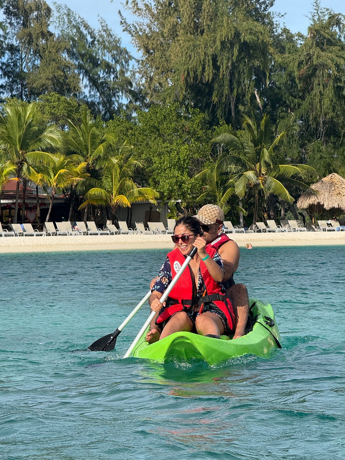 Dolphin Encounter