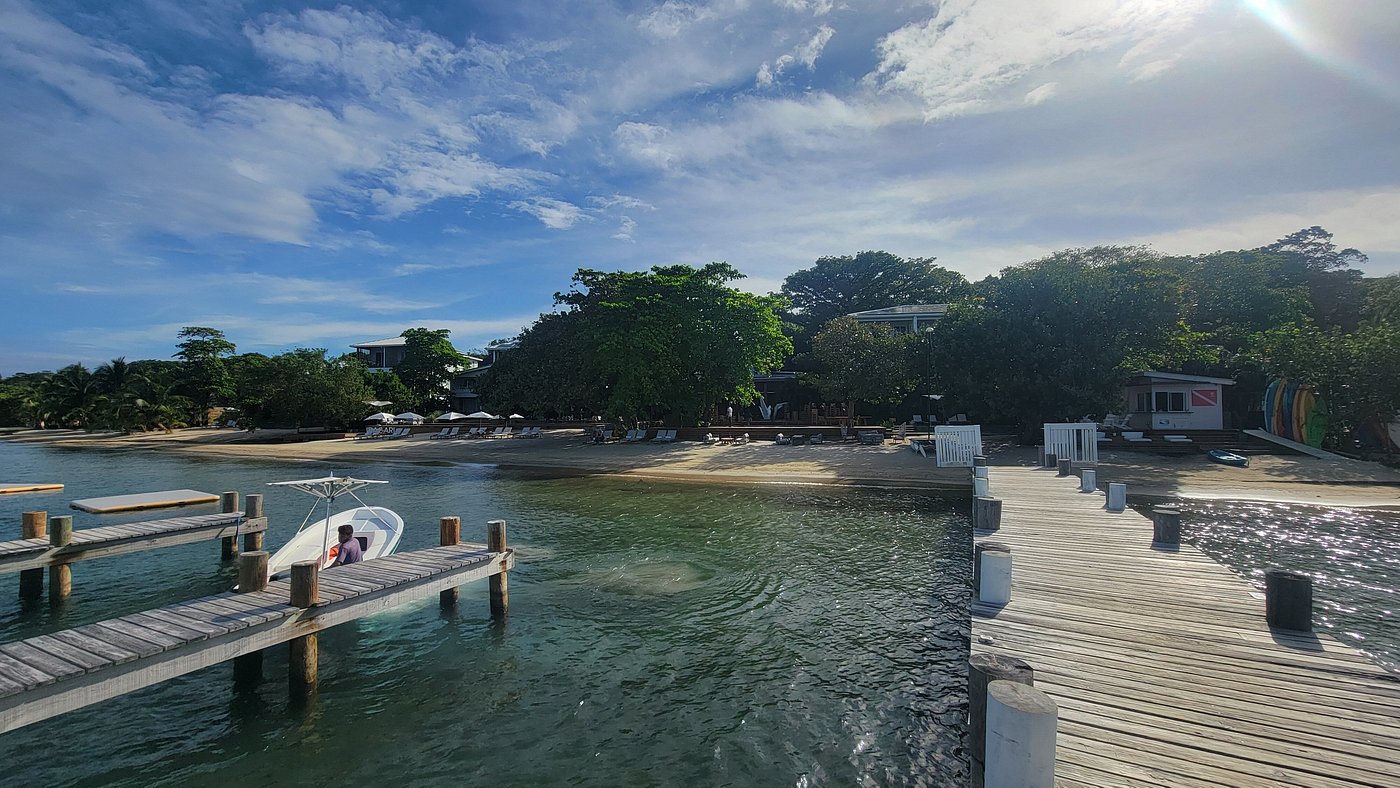 Beachside View