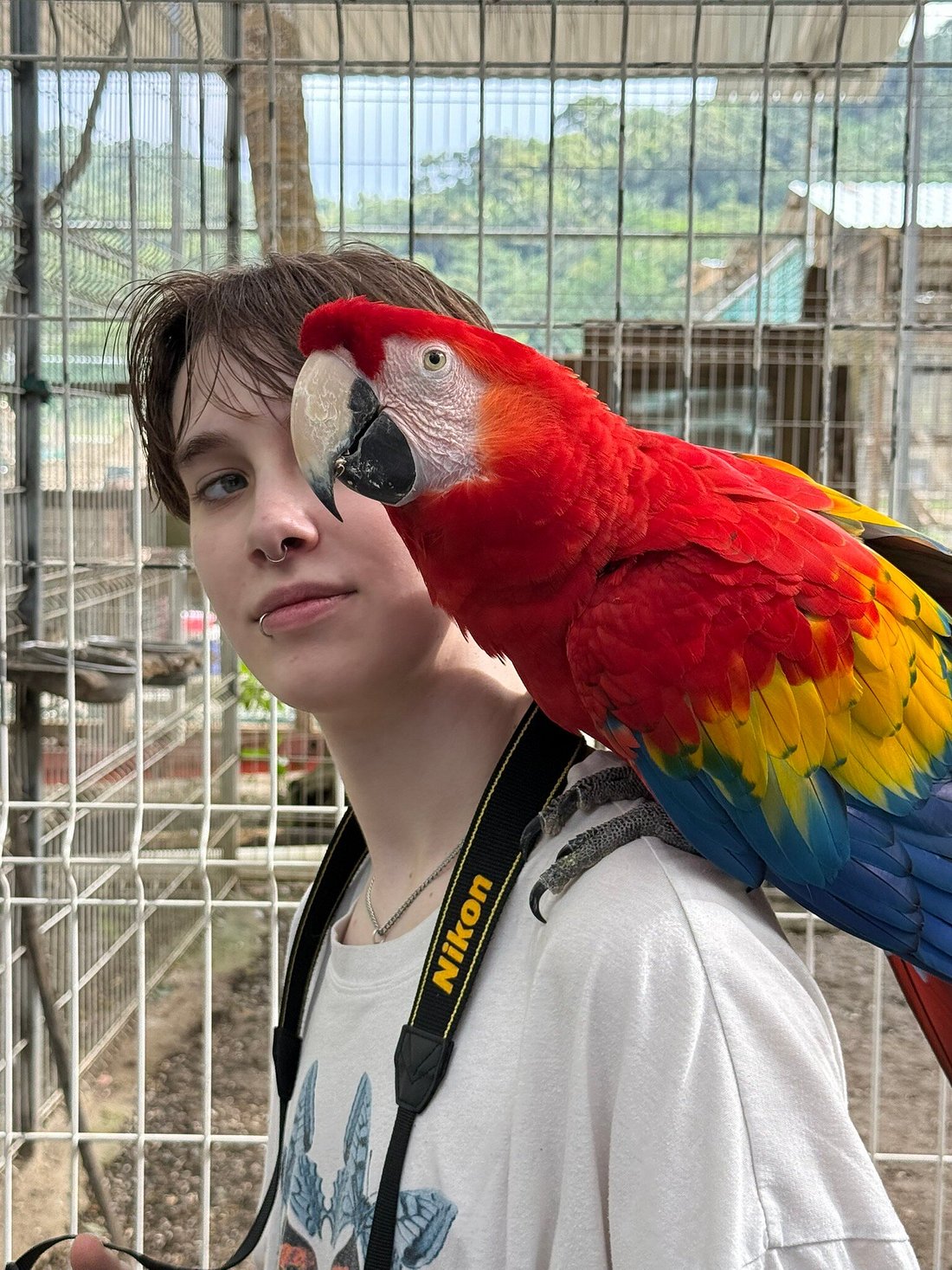 Animal Encounter