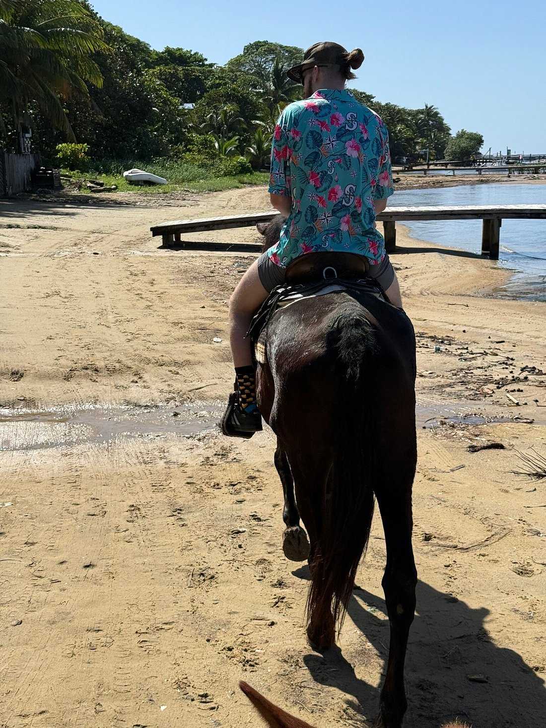 Horse Riding