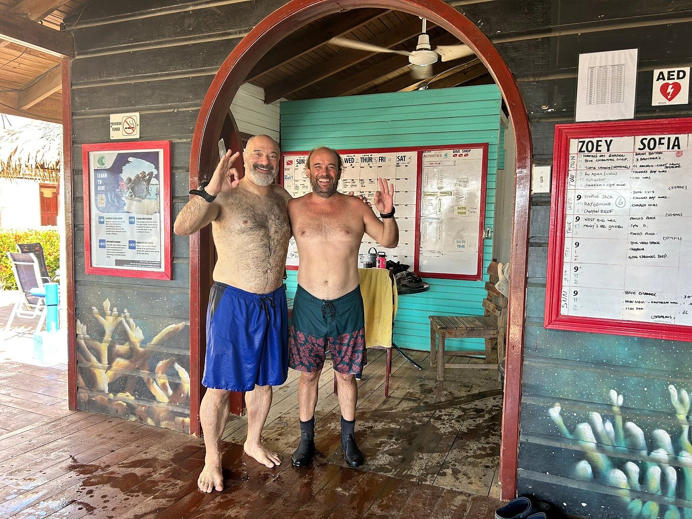 Dive Team