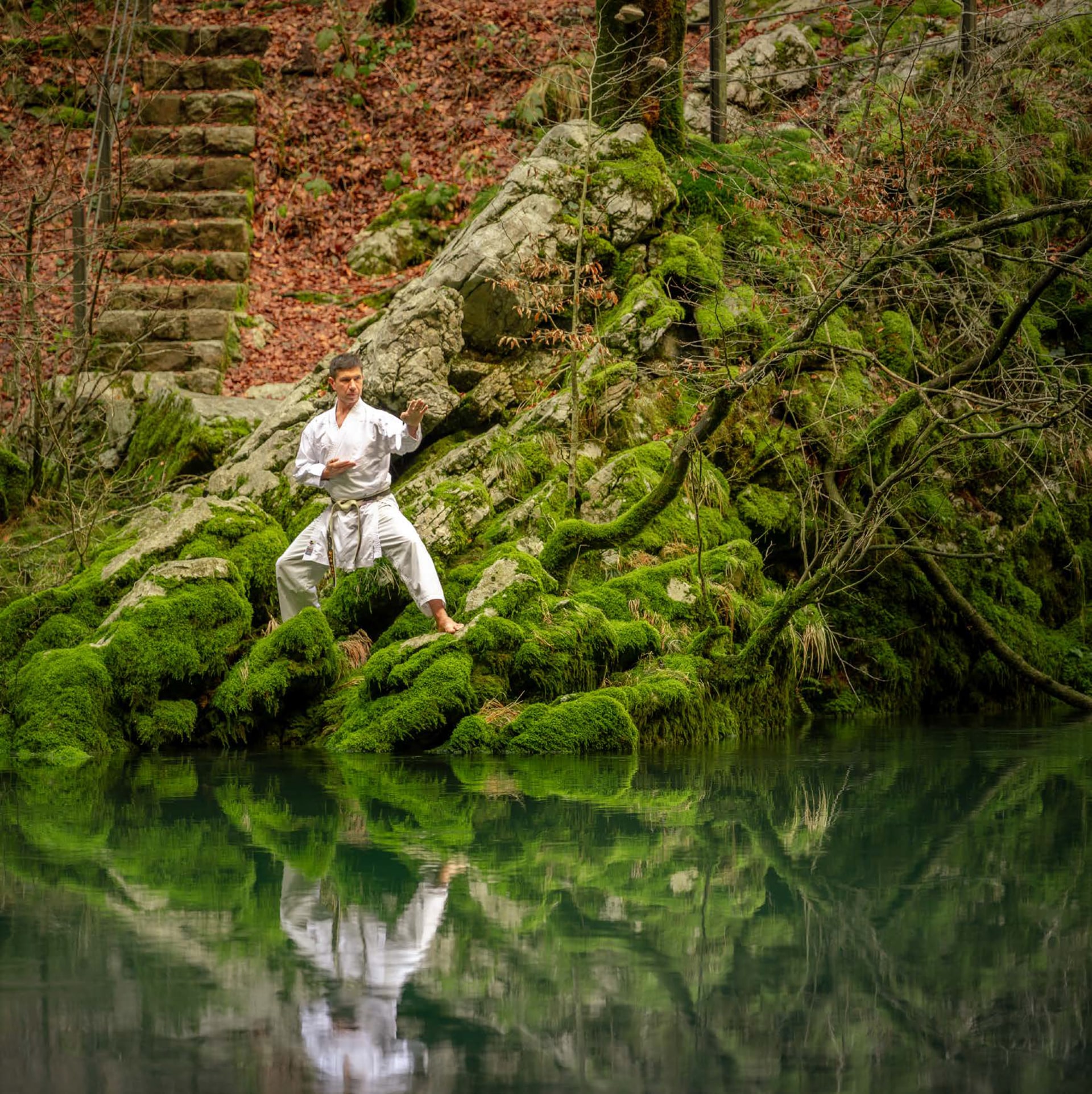 Urnik background