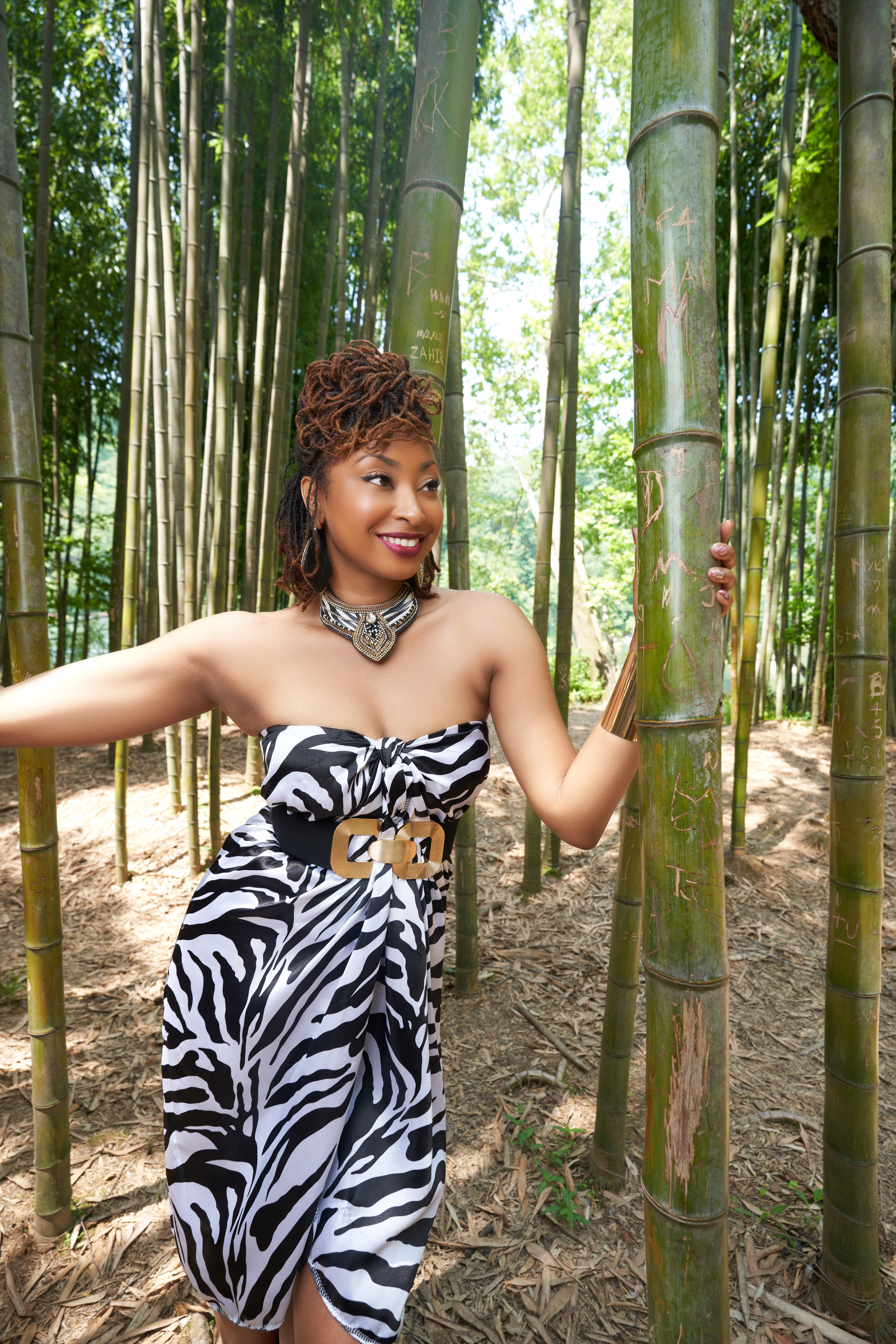 Bamboo Forest