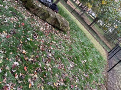 Round Rail Fence project - IMG 1657 Khvzki by Shepherd Construction in Tulsa, Oklahoma