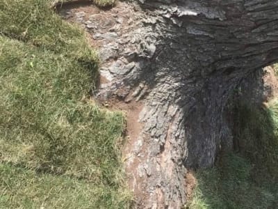 Excavation project - IMG 3131 Qvrzrf by Shepherd Construction in Tulsa, Oklahoma