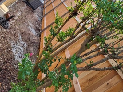 Privacy Fence project - IMG 3157 Sverwm by Shepherd Construction in Tulsa, Oklahoma