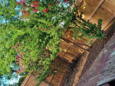 Privacy Fence project - IMG 3160 Ykpia2 by Shepherd Construction in Tulsa, Oklahoma