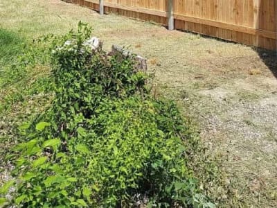 Privacy Fence project - IMG 3201 Wqz9mt by Shepherd Construction in Tulsa, Oklahoma