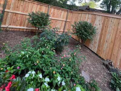 Privacy Fence project - IMG 3234 Wqlmrv by Shepherd Construction in Tulsa, Oklahoma