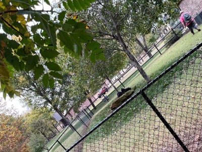 Chain Link Fence project - IMG 3348 Lcmm3c by Shepherd Construction in Tulsa, Oklahoma