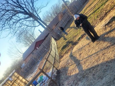 Round Rail Fence project - IMG 8052 Vpoesl by Shepherd Construction in Tulsa, Oklahoma