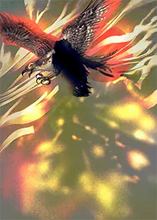 card background