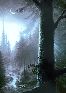 card background