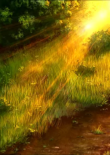 card background