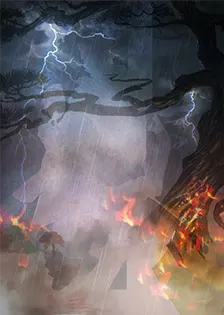 card background