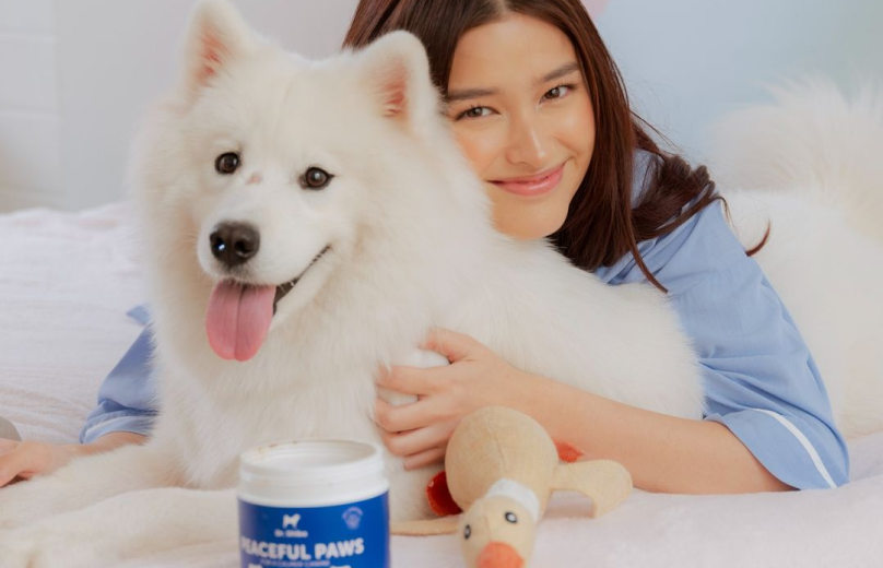Dr. Shiba: Revolutionizing Pet Wellness with Immersive Social Commerce