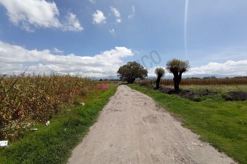 Imagen 4 de Venta de terreno en San Sebastián Metepec.