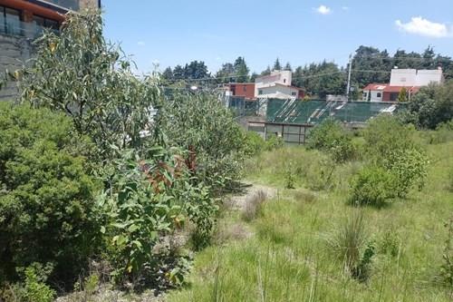 Imagen 14 de VENTA DE TERRENO MUY CERCA DE LOS ENCINOS LERMA ESTADO DE MÉXICO