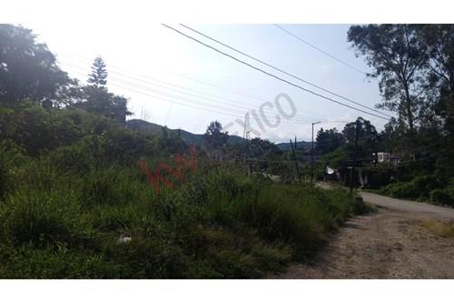Imagen 8 de Terreno en venta en Ixtapan de la Sal, cerca de la carretera a Tonatico.