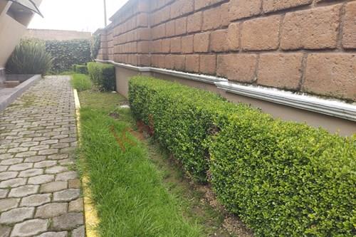 Imagen 12 de EXCELENTE BODEGA CON OFICINAS UBICADA ESTRÁTEGICAMENTE EN LÍMITES DE TOLUCA CON ZINACANTEPEC