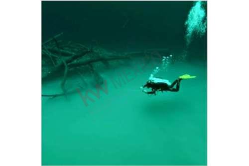 Imagen 9 de Lotes habitacionales en Tulum, constroye tu lugar de descanso en el caribe mexicano