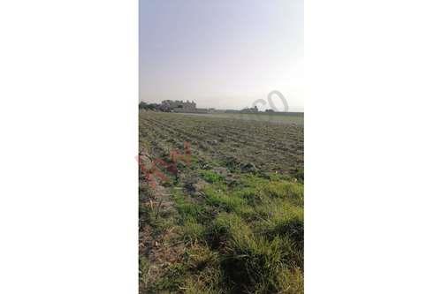 Imagen 3 de TERRENO EJIDAL EN VENTA EN EL PARAJE LAS VIEJITAS EN SAN MIGUEL CHAPULTEPEC,ESTADO DE MEXICO.