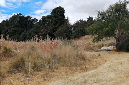 Imagen 2 de TERRENO EN VENTA EN CACALOMACAN, CON CISTERNA Y ARBOLES FRUTALES