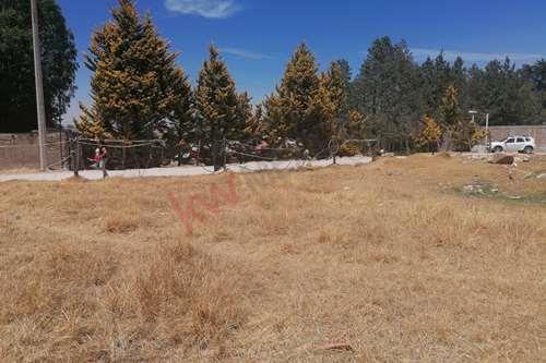 Imagen 3 de Venta de terreno en Toluca, Cacalomacan, Estado de México