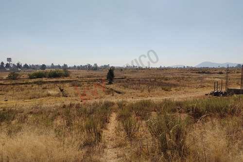 Imagen 12 de VENTA DE TERRENO CERCA DEL MERCADO DE PALMILLAS 500M2