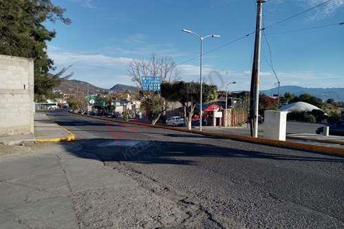 Imagen 3 de TERRENO UBICADO EN LA AV PRINCIPAL DE IXTAPAN DE LA SAL ENFRENTE DE PLAZA MACLOVIA