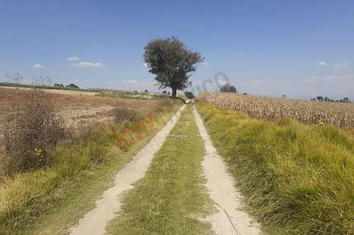 Imagen 11 de Lote de terreno en Venta para construir vivienda, Toluca