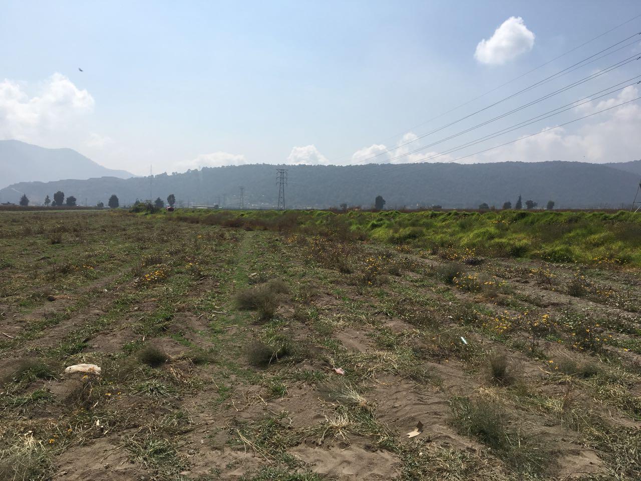 Imagen 2 de Terreno en venta Tenango del Valle.