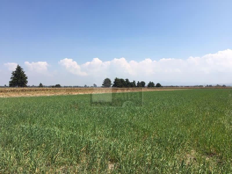 Imagen 2 de  Terreno en venta Tenango del Valle.