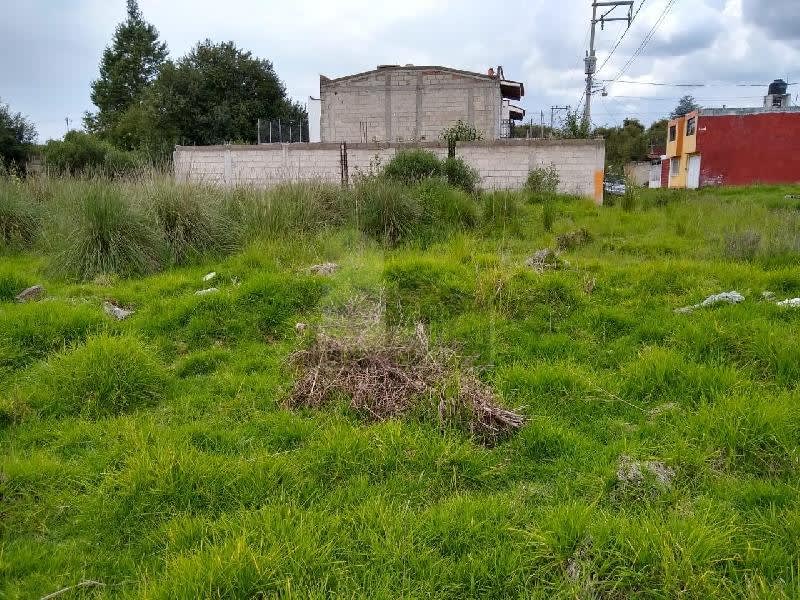 Imagen 2 de Terreno habitacional en venta en Cacalomacán, Toluca, México