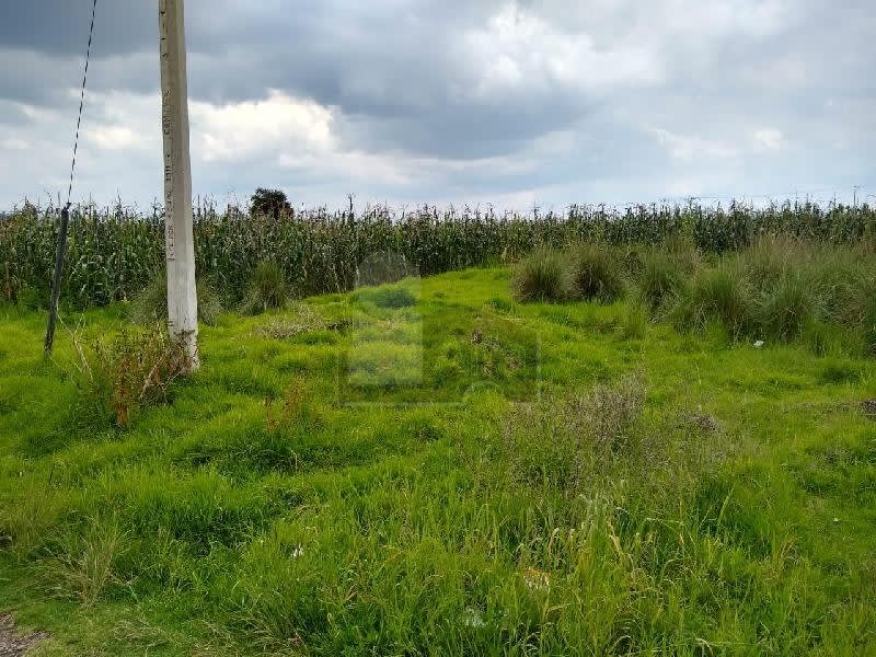 Imagen 3 de Terreno habitacional en venta en Cacalomacán, Toluca, México