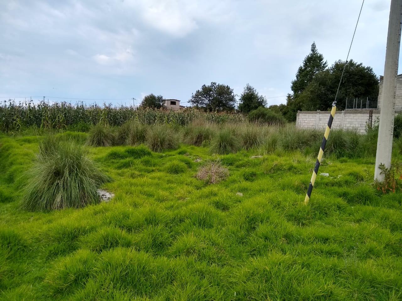 Imagen 4 de Terreno habitacional en venta en Cacalomacán, Toluca, México
